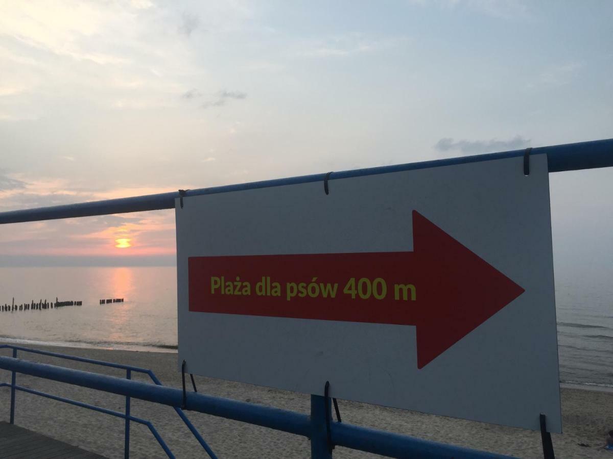 Apartamenty Blisko Plazy Podczele โควอบเซก ภายนอก รูปภาพ